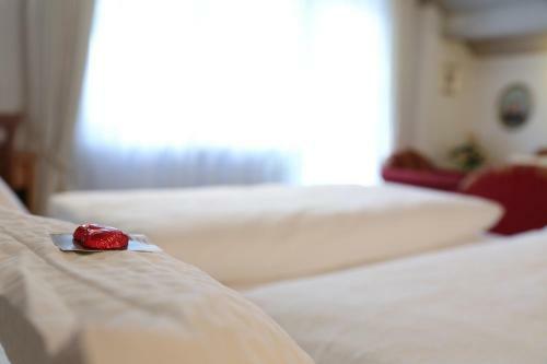 Hotel Steffl