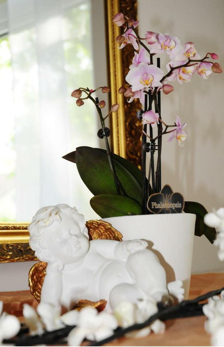 Hotel Blankenese