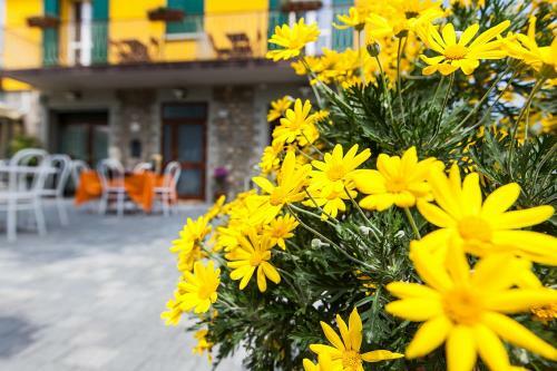 Hostal Osteria Da Cesare E Locanda