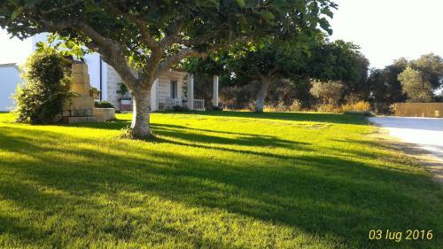 Agroturismo Masseria Vignenove