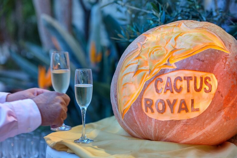 Hotel Cactus Beach