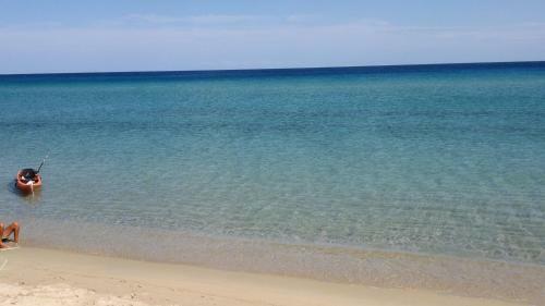 Camping Cigno Bianco