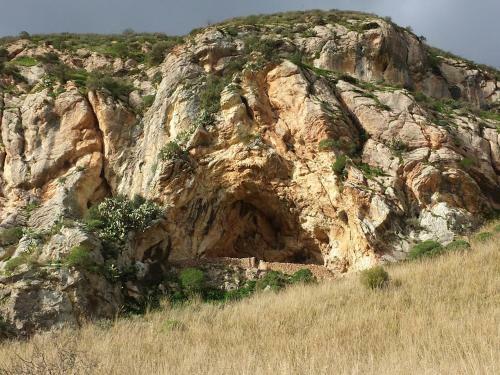 Bed & Breakfast La Suite Di Segesta