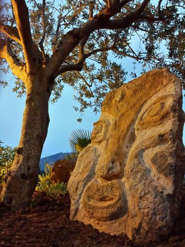 Bed & Breakfast La Suite Di Segesta