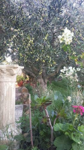 Bed & Breakfast La Suite Di Segesta