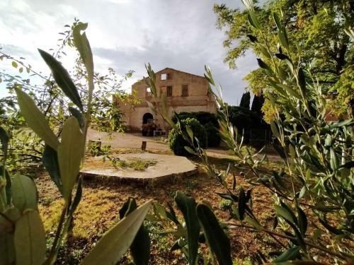 Agroturismo Masseria Sant'agapito