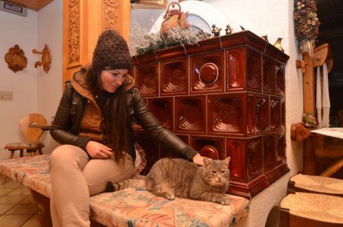 Hotel Albe