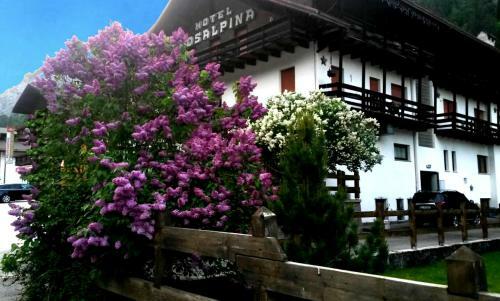 Hotel Rosalpina