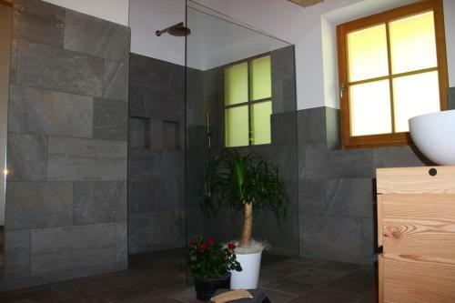 Aparthotel Putzerhof