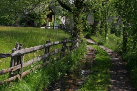 Agroturismo Mantingerhof