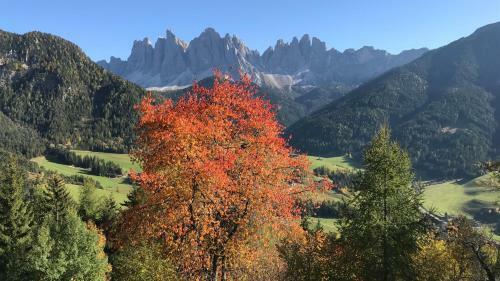 Apartamento Jaiterhof