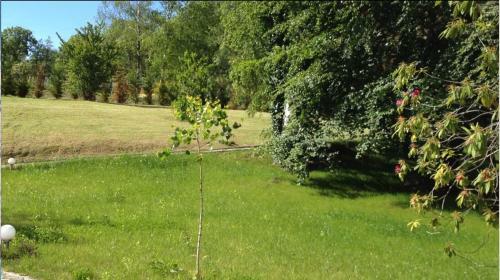 Lake Maggiore Apartment