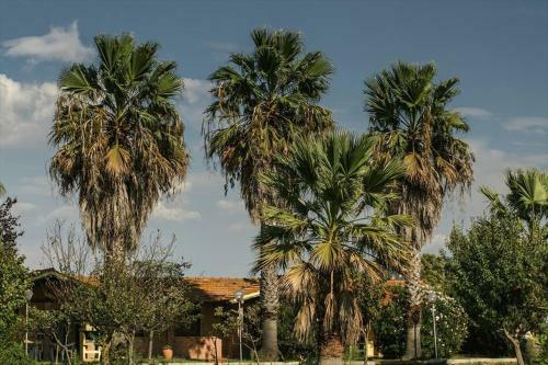 Apartamento Tortuga Casa Vacanze