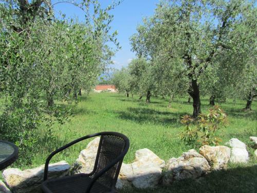 Agroturismo Agriturismo Borghetto Il Montino