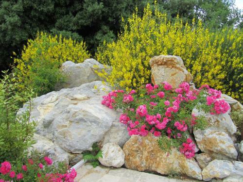 Agroturismo Agriturismo Borghetto Il Montino