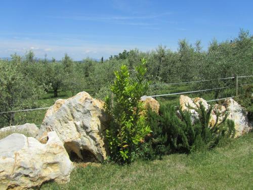 Agroturismo Agriturismo Borghetto Il Montino
