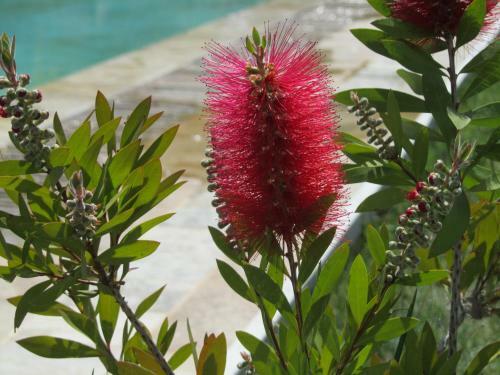 Agroturismo Agriturismo Borghetto Il Montino