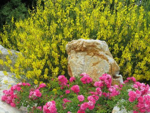 Agroturismo Agriturismo Borghetto Il Montino