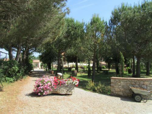 Agroturismo Agriturismo Borghetto Il Montino