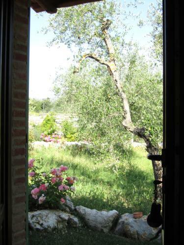 Agroturismo Agriturismo Borghetto Il Montino