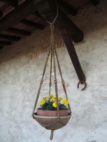 Agroturismo Agriturismo Borghetto Il Montino