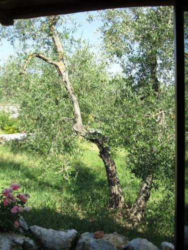 Agroturismo Agriturismo Borghetto Il Montino