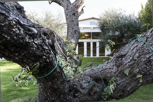 Hotel Masseria Serritella