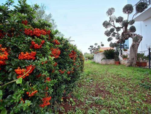 B&B Villa Ernestina