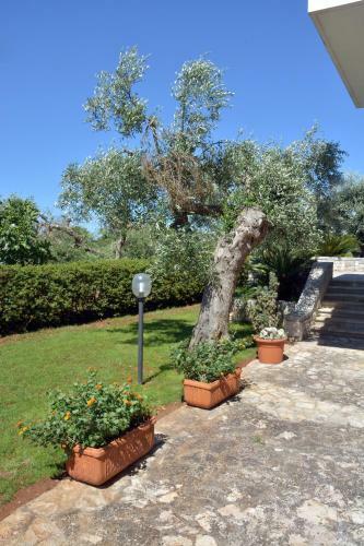 B&B Villa Ernestina