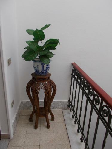 Hostal Villa Alba