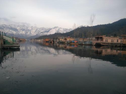 Snowgoose Group Of Houseboats