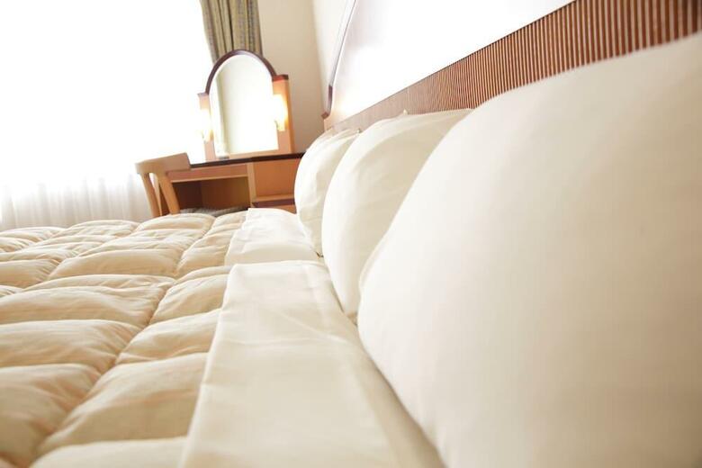 Hida Hotel Plaza