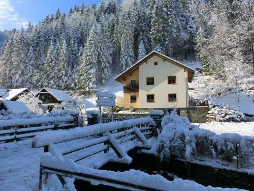 Apartamento G�stehaus Forstner