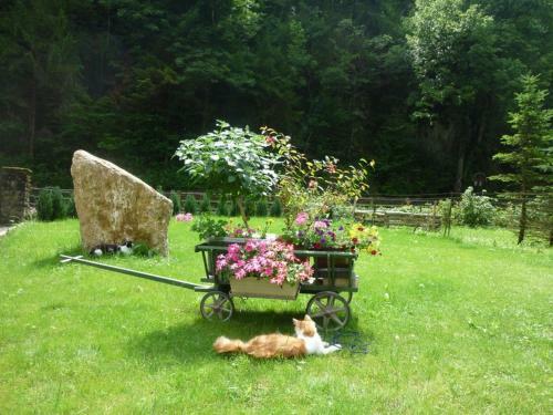 Apartamento G�stehaus Forstner