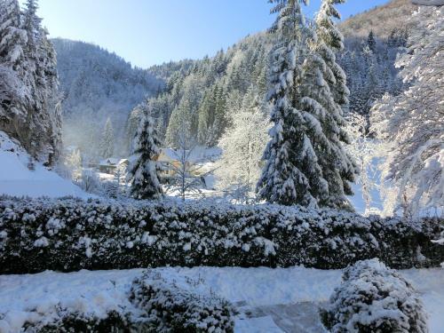 Apartamento G�stehaus Forstner