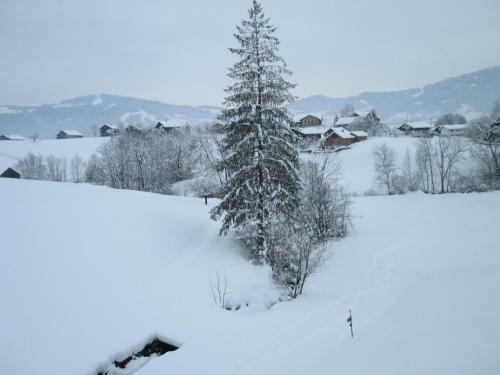 Apartamento Haus Schneider