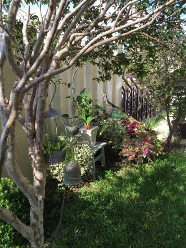 Hana Homestay