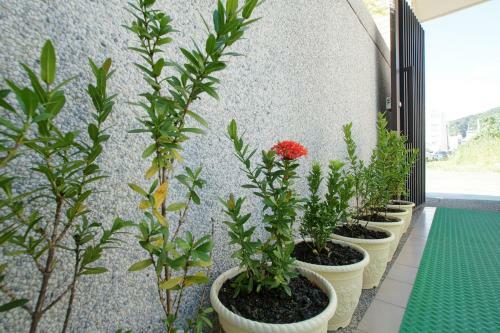 Taitung Dreamtrue B&B