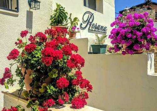 Hostal Rosana Guest House
