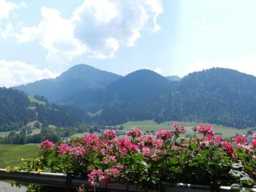 Hotel Alpenpanorama
