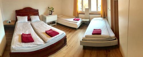 Posada Interlaken Marco Hostel