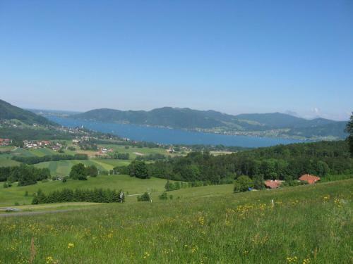 Hostal Gasthof Pension Steinberger