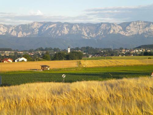 Apartamento Ferienwohnungen Jedinger