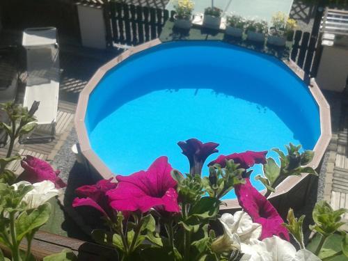 Apartment Fernerkogel