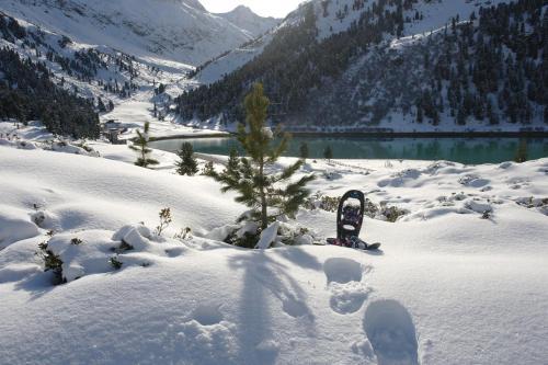 Apartment Fernerkogel