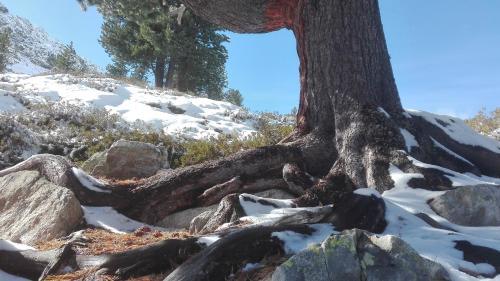 Apartment Fernerkogel