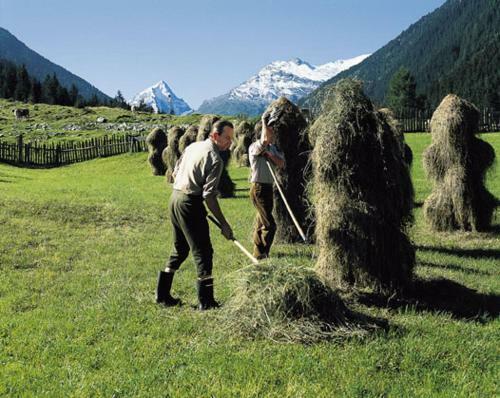 Apartamento Temelerhof