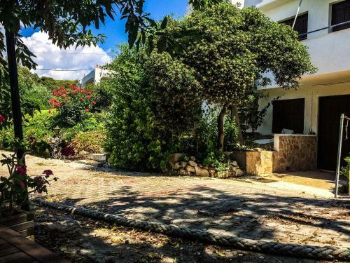 Vasilikos Apartments