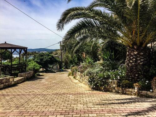 Vasilikos Apartments