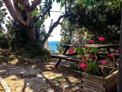 Vasilikos Apartments